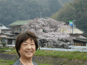 桜が大好きな広島占い広島の母