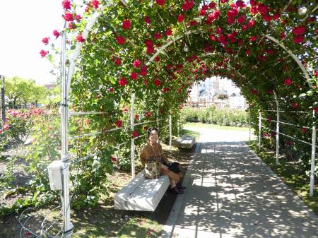 福山バラ公園　赤いバラのアーチ
