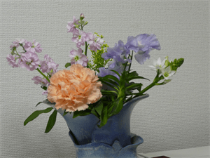 広島占いの春の花