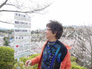 尾道千光寺公園の桜